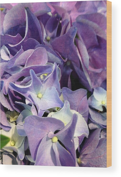 Hydrangeas Wood Print featuring the photograph Purple Hydrangeas by Marian Lonzetta