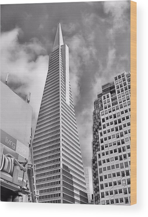 Transamerica Wood Print featuring the photograph Pyramid BW by Jenny Hudson