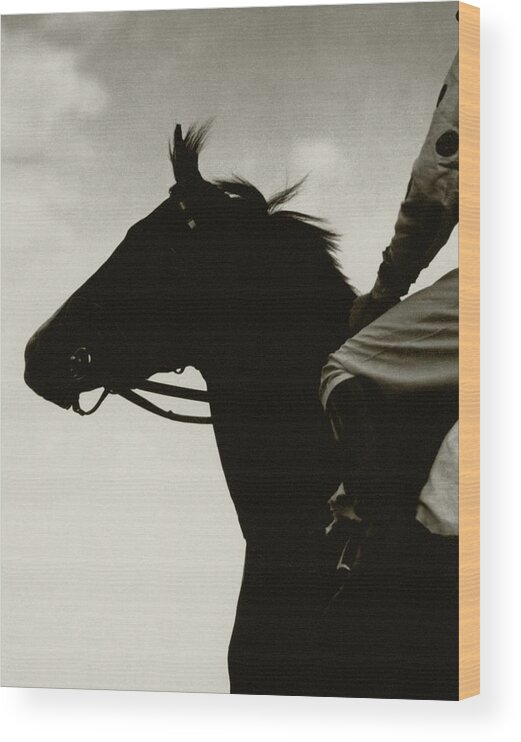Animal Wood Print featuring the photograph Race Horse Gallant Fox by Edward Steichen