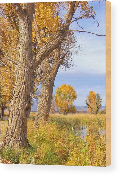 Sky Wood Print featuring the photograph Remembering Autumn by Marilyn Diaz