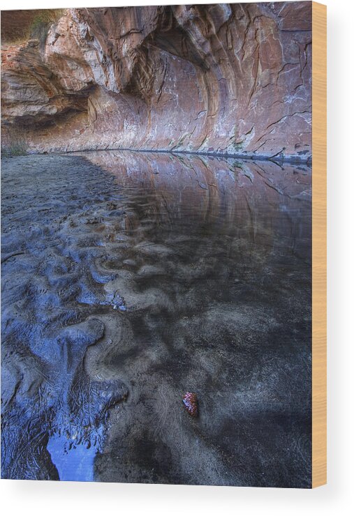 West Fork Wood Print featuring the photograph Ripples in the Mud by Sue Cullumber
