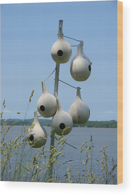 Mason Neck State Park Wood Print featuring the photograph Riverside Birdhouses by Jean Goodwin Brooks