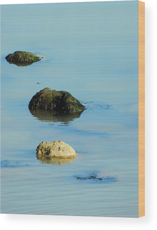 Rocks In The Sea Wood Print featuring the photograph Rock Pool by Sharon Lisa Clarke