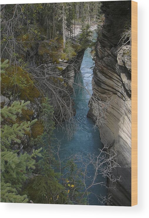 Photograph Wood Print featuring the photograph Rocky Mountain Wonder by Rhonda McDougall