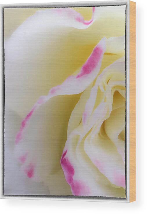 Abstract Wood Print featuring the photograph Rose by Jonathan Nguyen