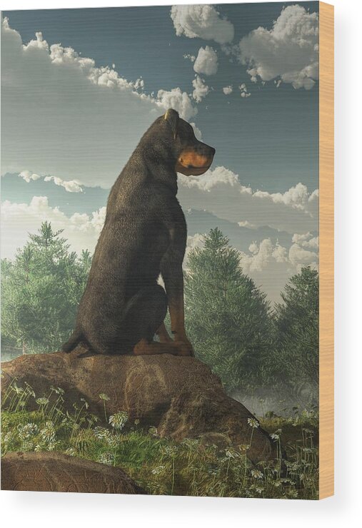Rottweiler Wood Print featuring the digital art Rottweiler by Daniel Eskridge
