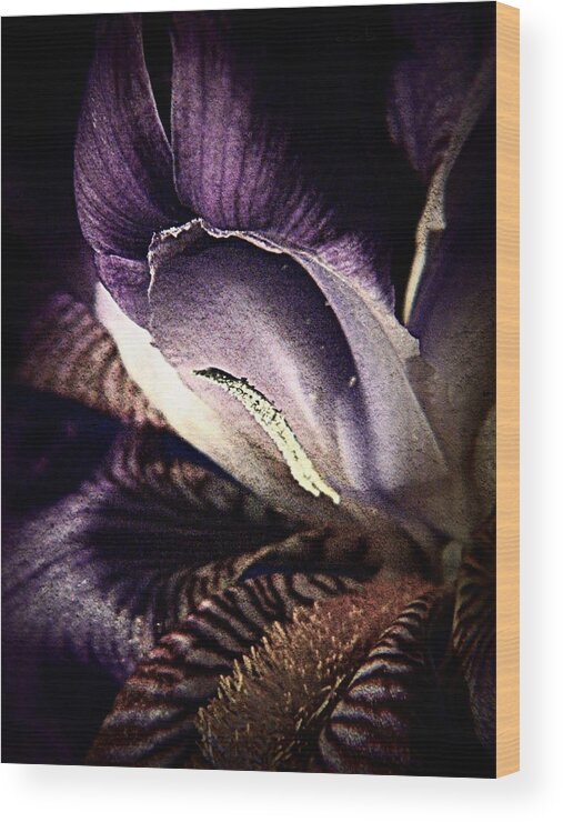 Nature Wood Print featuring the photograph Royal Purple by Chris Berry