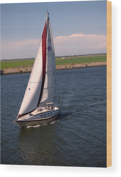 Pamela Patch Wood Print featuring the photograph Sailing the Delta by Pamela Patch