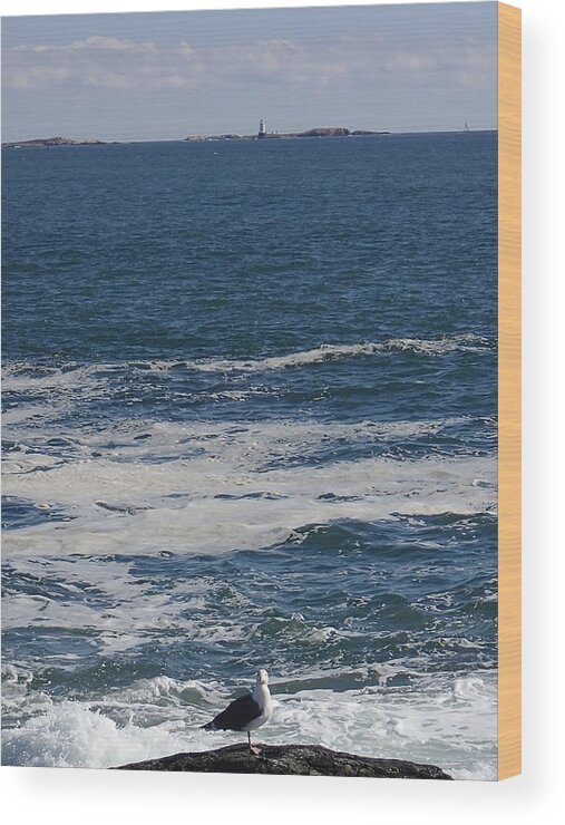 Seagull Wood Print featuring the photograph Seabreeze. by Robert Nickologianis