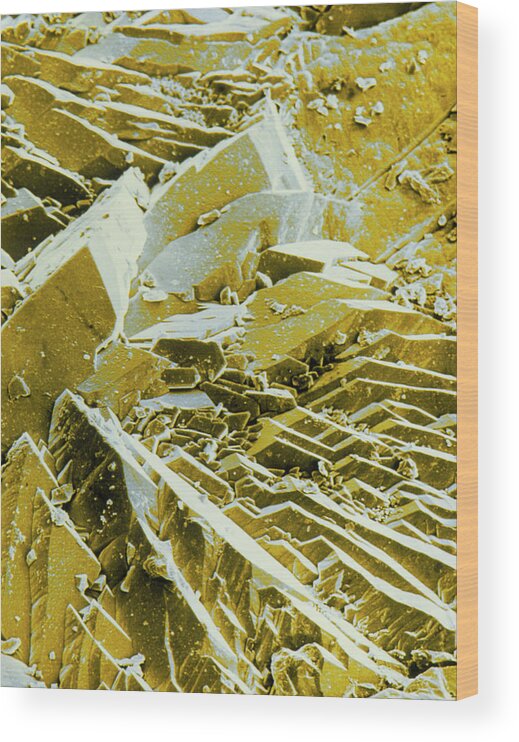 Chemical Wood Print featuring the photograph Sem Of A Metal Coating by Dr Jeremy Burgess/science Photo Library