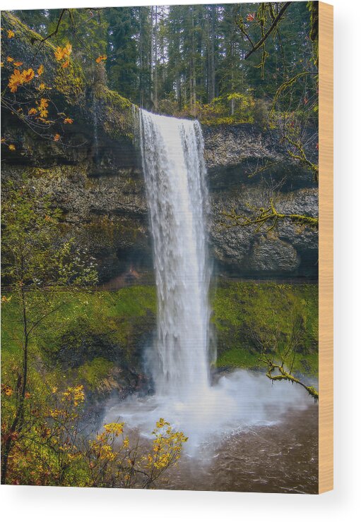 Silver Falls Wood Print featuring the photograph Silver Falls - South Falls by Dennis Bucklin
