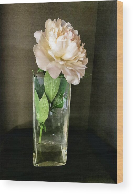 Peony Wood Print featuring the photograph Single White Peony by Patricia Januszkiewicz