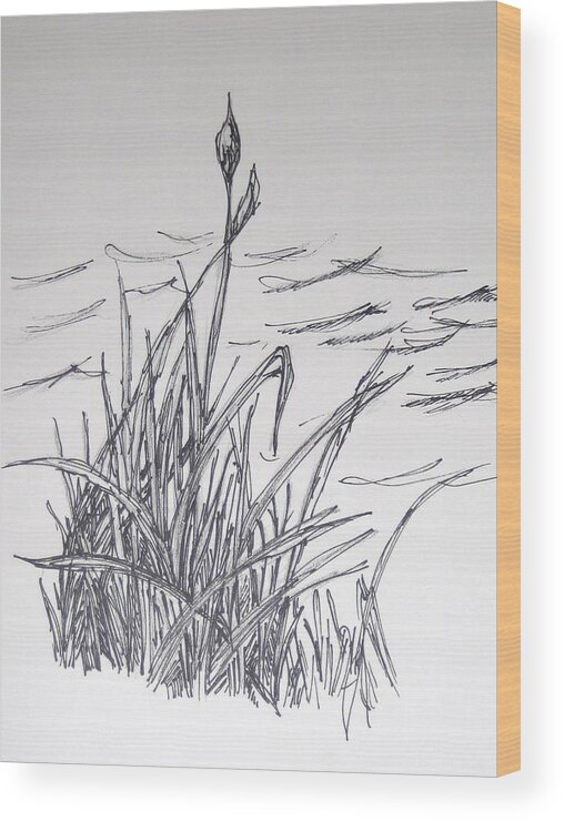 Water Wood Print featuring the drawing Sitting by the Water by Marge Cari