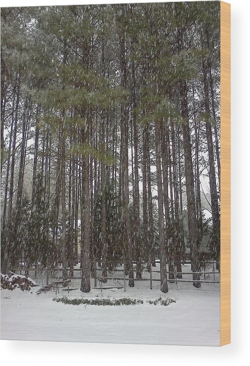 Snow Wood Print featuring the photograph Snow on the Pines by Stacy C Bottoms