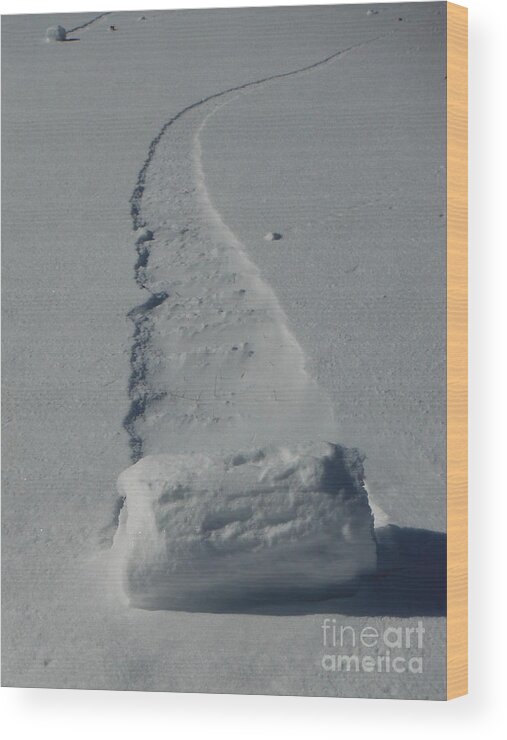 Snow Rollers Wood Print featuring the photograph Snow Roller 2 by Paddy Shaffer