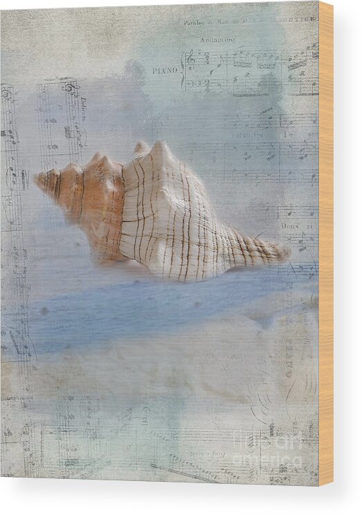 Sea Shell Wood Print featuring the photograph Songs of the Sea by Betty LaRue