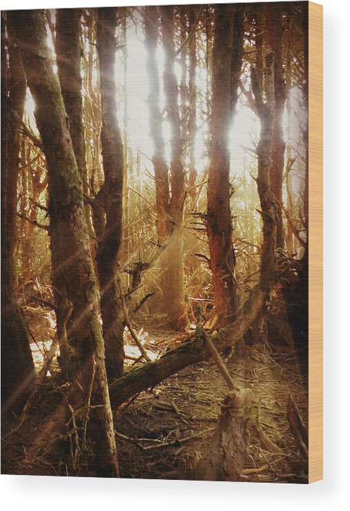 Spellbound Wood Print featuring the photograph Spellbound by Micki Findlay