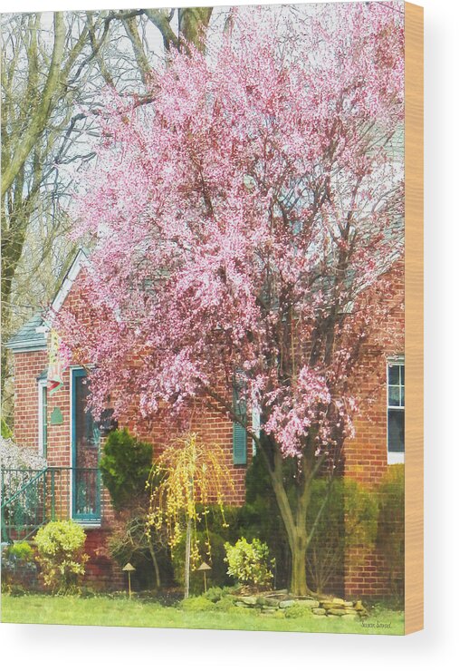 Spring Wood Print featuring the photograph Spring - Cherry Tree by Brick House by Susan Savad