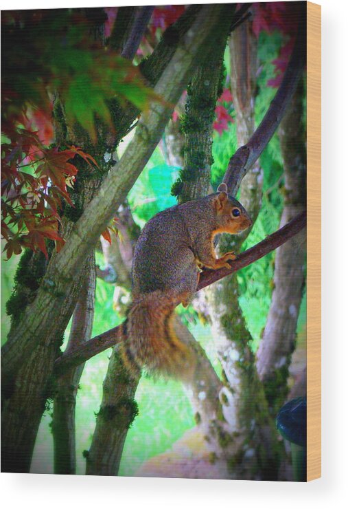 Oregon Squirrel Wood Print featuring the photograph Squirrel in my tree by Lisa Rose Musselwhite