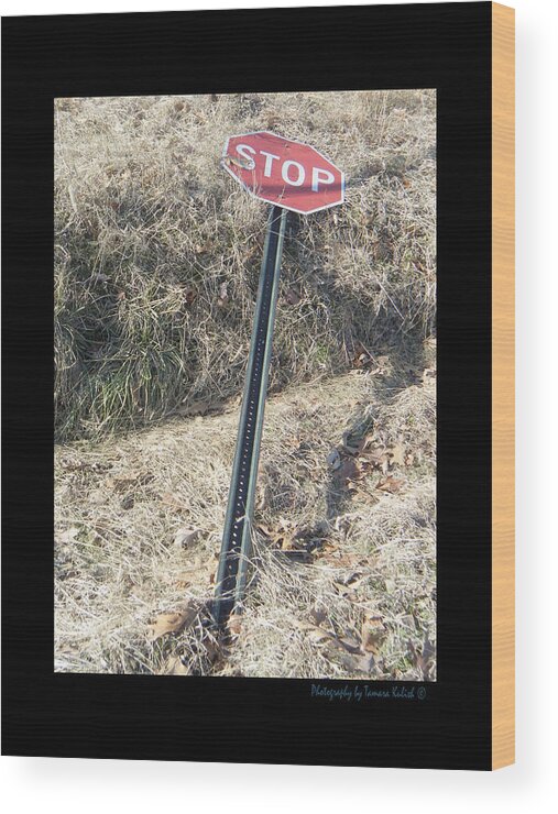 Tamara Kulish Wood Print featuring the photograph Stop sign 1 by Tamara Kulish