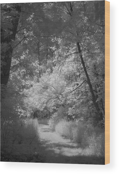 Park Wood Print featuring the photograph Summer Trail by HW Kateley