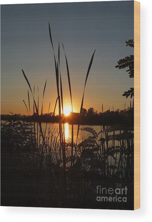 Sundown Wood Print featuring the photograph Sundown over the Silver Lake by Amalia Suruceanu