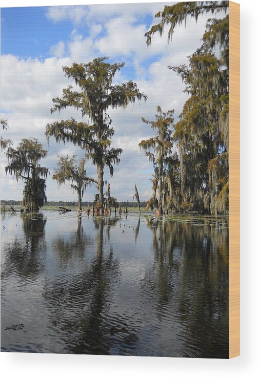 Swamp Wood Print featuring the photograph Swamp by Beth Vincent