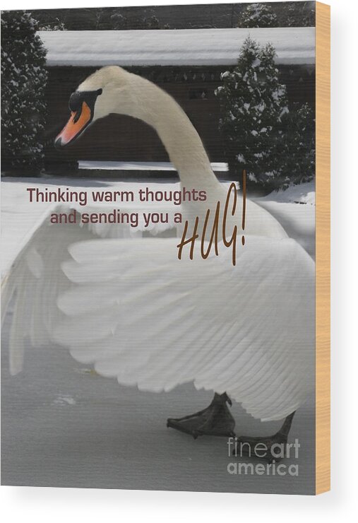 Photographic Landscapes Wood Print featuring the photograph Swan Hugs by Mary Lou Chmura