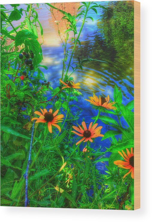 Daisy Wood Print featuring the photograph Sweet and Daisy by Nick Heap