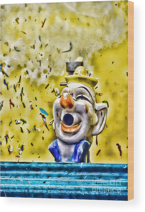 Clowns Wood Print featuring the photograph Take Your Best Shot by Colleen Kammerer