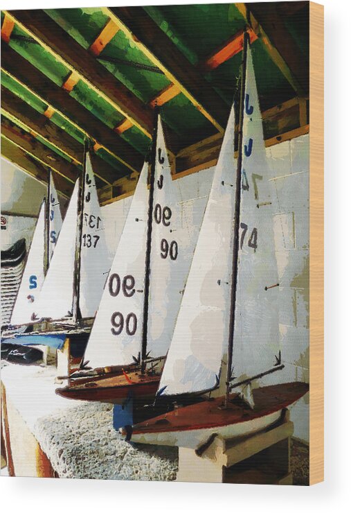 Sailing Wood Print featuring the photograph The Boat Shed by Steve Taylor