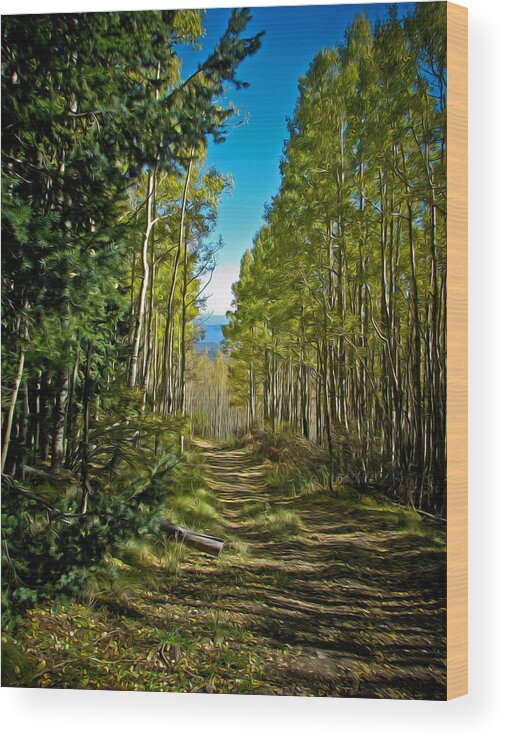 Aspens Wood Print featuring the painting The Cool Path Through Arizona Aspens by John Haldane