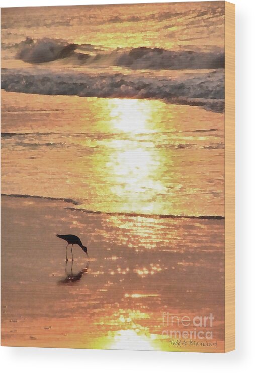 Landscape Wood Print featuring the photograph The Early Bird by Todd Blanchard