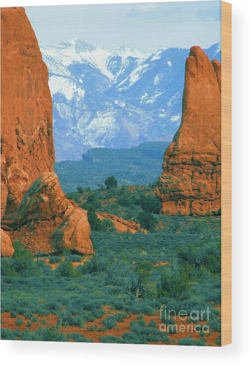 Iconic View Of The La Sals From Arches National Monument Near Moab Utah Wood Print featuring the digital art The La Sals from Archers by Annie Gibbons