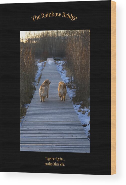 Photograph Wood Print featuring the photograph The Rainbow Bridge by Rhonda McDougall