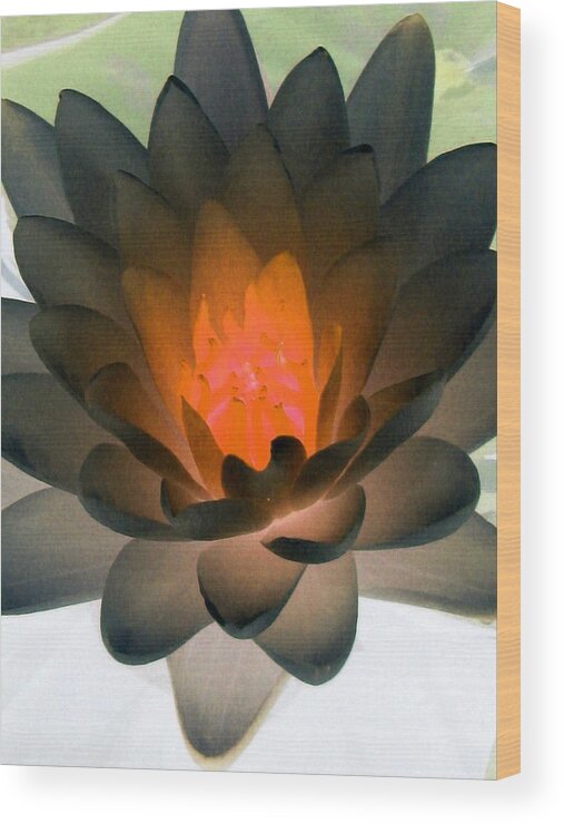 Water Lilies Wood Print featuring the photograph The Water Lilies Collection - PhotoPower 1036 by Pamela Critchlow