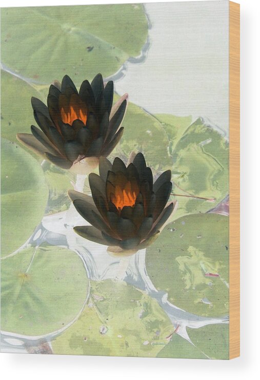 Water Lilies Wood Print featuring the photograph The Water Lilies Collection - PhotoPower 1040 by Pamela Critchlow