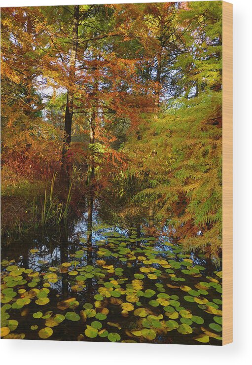 Autumn Wood Print featuring the photograph Thoreau's Pride by Connie Handscomb