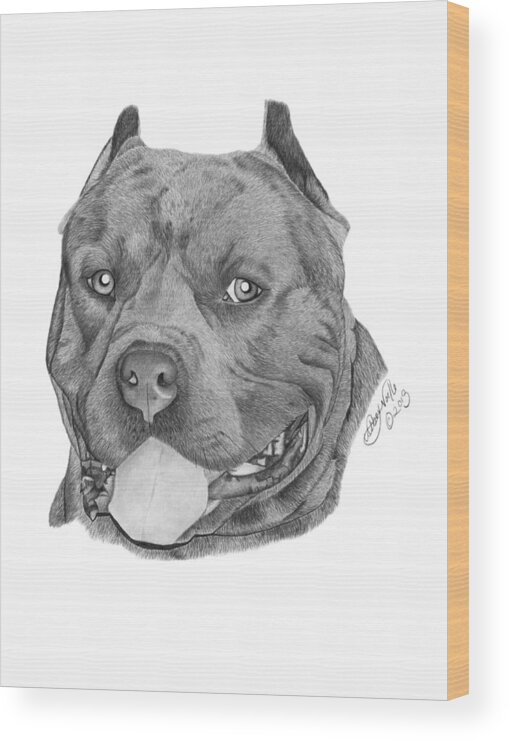 Pit Bull Wood Print featuring the drawing Titus - 024 by Abbey Noelle