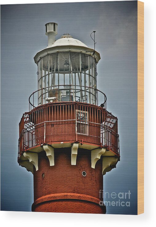 Lbi Wood Print featuring the photograph Top of Barney 2012 by Mark Miller