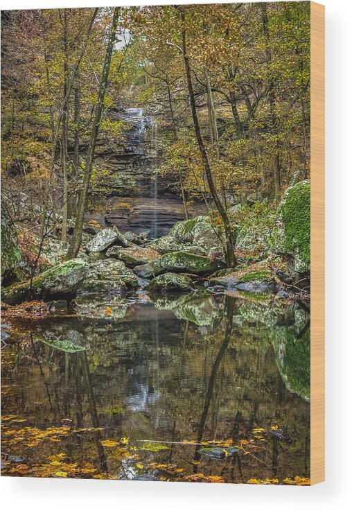 Cedar Falls Wood Print featuring the photograph Tranquility by David Dedman
