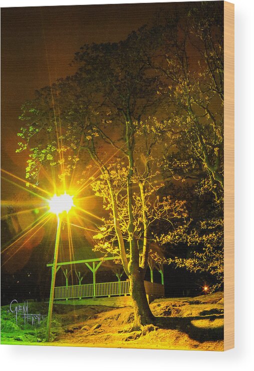 Landscape Wood Print featuring the photograph Tree Lights by Glenn Feron