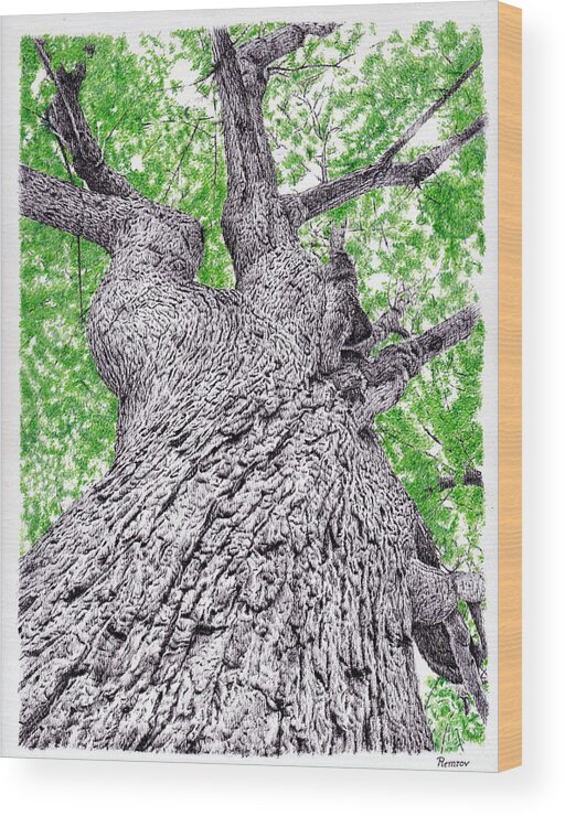 Tree Wood Print featuring the drawing Tree pen drawing 4 by Casey 'Remrov' Vormer