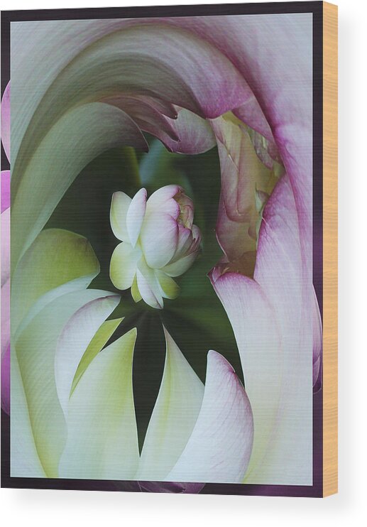 Flower Wood Print featuring the photograph Tunnel of Lotus by Jean Noren
