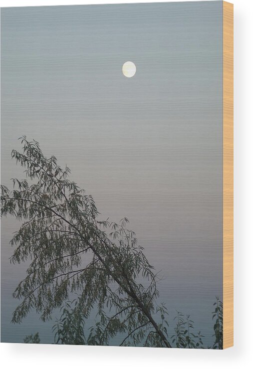 Moon Wood Print featuring the photograph Twilight by Jessica Myscofski