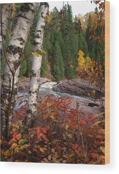James Wood Print featuring the photograph Twin Aspens by James Peterson