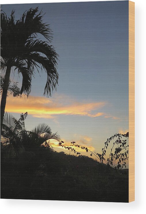 Palm Tree Wood Print featuring the photograph Vacation by Jessica Myscofski