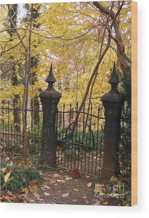 Metal Gate Wood Print featuring the photograph Victorian Metal Gate 2 by Paddy Shaffer