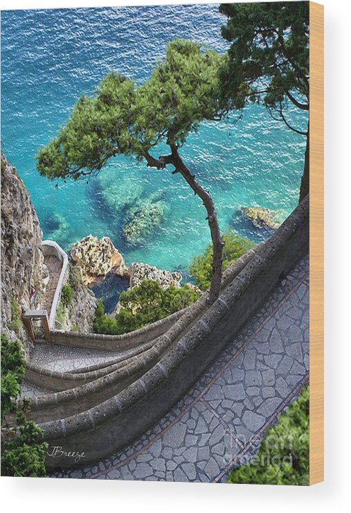 Italy Wood Print featuring the photograph View from Capri.Italy by Jennie Breeze
