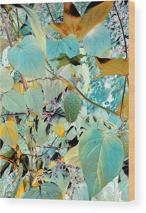 Leaves Wood Print featuring the photograph Vines and Things #1 by Jo Smoley